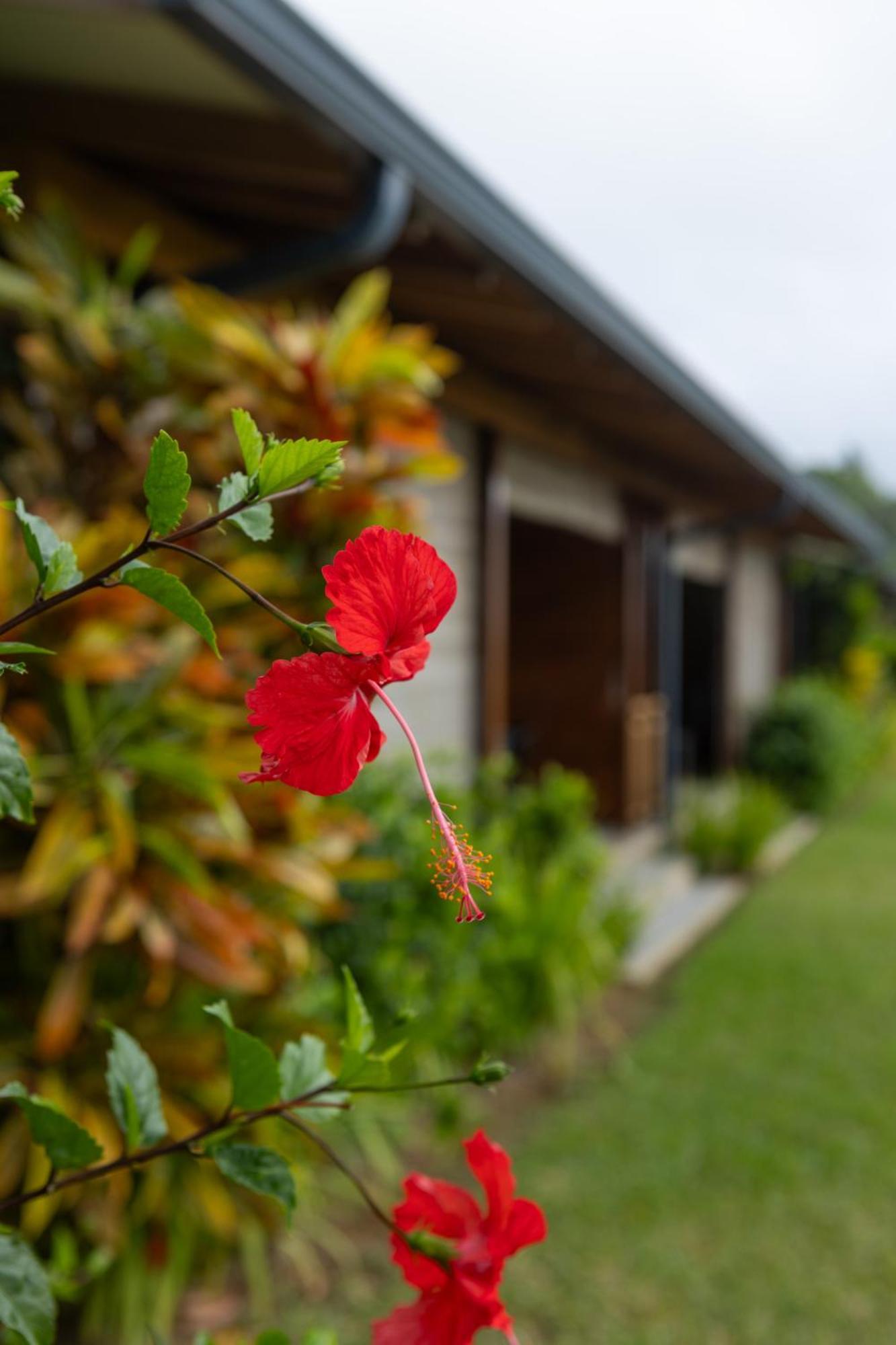 Paradise Chalets Yoga & Wellness Takamaka Kültér fotó
